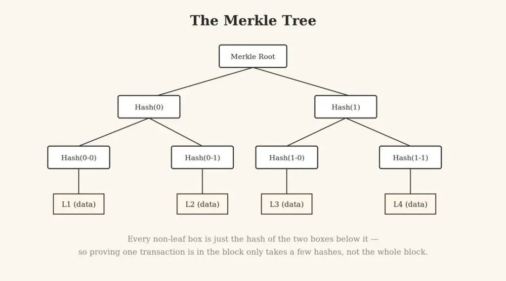 Diagram of a Merkle tree structure showing four data leaves hashed in pairs up to a single Merkle root"