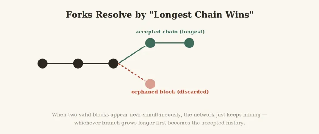 Diagram showing a blockchain fork resolving as the network builds on the longest chain, orphaning the shorter branch
